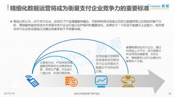 2017年第三方支付行業(yè)報(bào)告 洞察行業(yè)發(fā)展，把握未來(lái)機(jī)遇